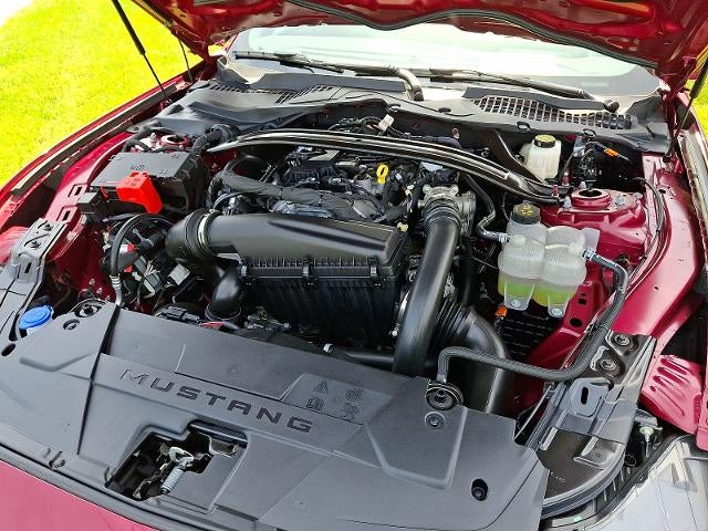 2025 Ford Mustang EcoBoost Premium Convertible