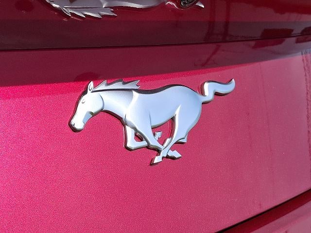 2025 Ford Mustang EcoBoost Premium Convertible