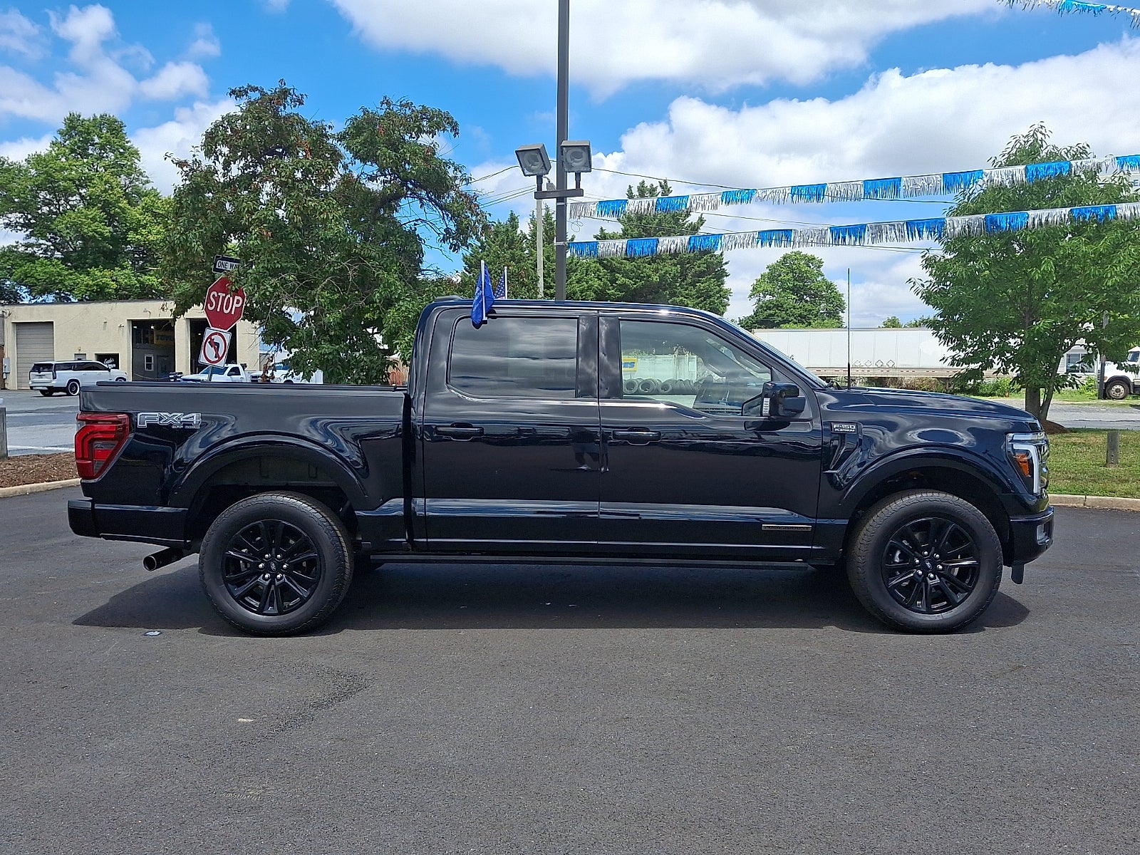 2025 Ford F-150 Platinum