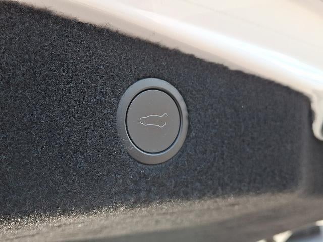 2024 Tesla Model 3 Rear-Wheel Drive